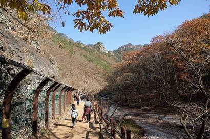 대전사에서 시작되는 등산로는 주왕산으로 이어진다. 사진=구완회 제공