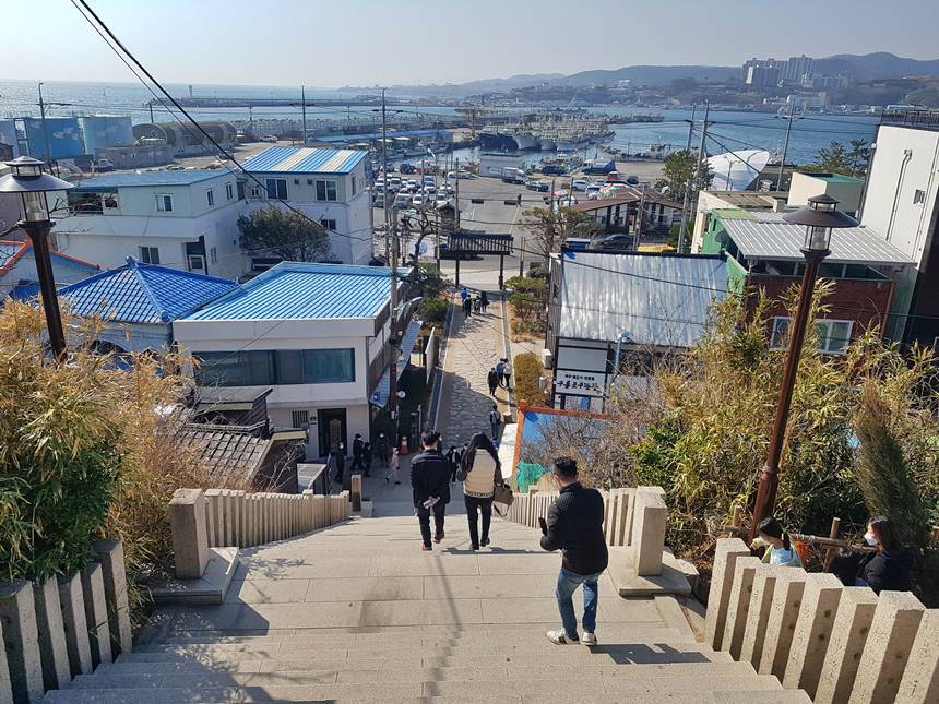 과메기로 유명한 포항 구룡포는 드라마 ‘동백꽃 필 무렵’의 촬영지로 유명세를 타면서 전국적인 ‘핫 플레이스’로 다시 태어났다. 마을 뒤편 언덕에서 내려다본 구룡포항 풍경. 사진=구완회 제공