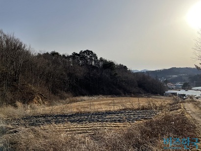 허세홍 GS칼텍스 회장이 소유한 강원도 평창군 대관령면 용산리 토지. 위탁영농을 하고 있는 것으로 보인다. 사진=전다현 기자