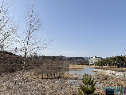 강원도 평창군 알펜시아 리조트 부근 전경. 2000년 대 초부터 연예인, 재계 인사들이 이 지역 일대 땅을 매입한 것으로 알려졌다. 사진=전다현 기자