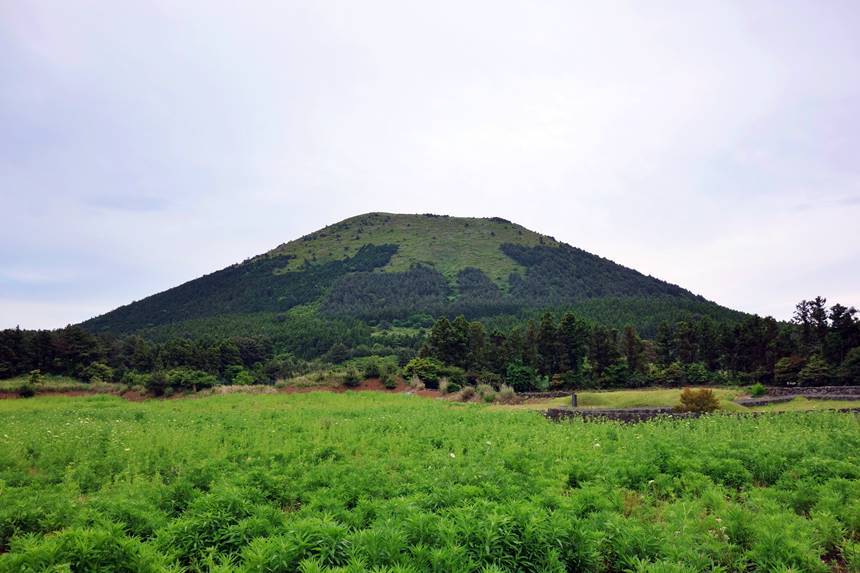 ‘오름의 여왕’이라 불리는 다랑쉬오름. 오름은 작은 산이나 산봉우리를 가리키는 제주도 말이다. 사진=구완회 제공