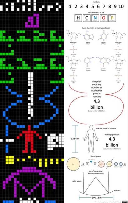 아레시보 메시지에 담긴 내용을 보여주는 그림. 사진=Wikimedia commons