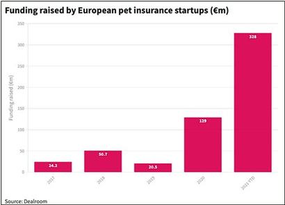 반려동물 관련 스타트업 중 가장 폭발적인 성장을 보인 분야는 보험이다. 사진=dealroom.co