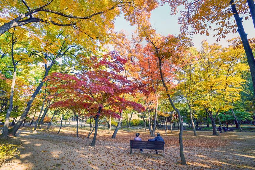 홍릉시험림 인근에 자리한 고종의 후궁 순헌황귀비 엄씨의 묘인 영휘원. 사진=동대문구청 제공