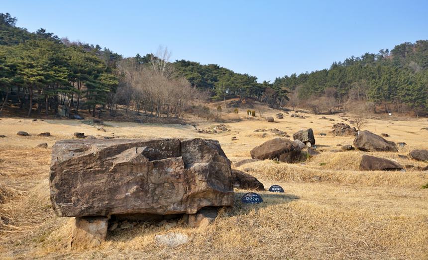 밀집도가 가장 높은 고창의 고인돌은 화순, 강화의 고인돌과 함께 유네스코 세계문화유산에 등재됐다. 사진=구완회 제공