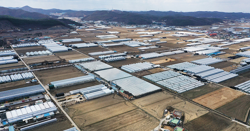 대규모 시스템 반도체 국가산업단지로 지정된 경기도 용인시 처인구 남사읍 일대 모습. 사진=연합뉴스