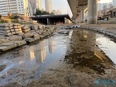 정릉천은 눈에 띌 정도로 유량이 적었다. 밑바닥을 드러낸 구간도 있었다. 물이 남아 있더라도 대부분 규조류가 뒤덮고 있었다. 사진=전다현 기자