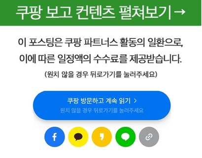 온라인에서 쉽게 접할 수 있는 쿠팡 광고 배너. 이용자들은 납치 광고나 불펌 광고 등에 대한 불편을 호소하고 있다. 사진=온라인 커뮤니티 캡처