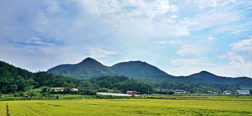 고래산마을 뒤로 고래를 닮은 고래산이 병풍처럼 둘러섰다. 사진=구완회 제공