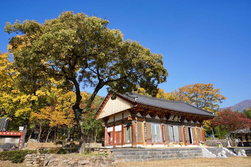 송림사는 소나무 숲에서 절이 솟아났다는 전설 덕분에 이름을 얻었다. 나지막한 돌담을 두른 경내에 절집과 탑, 석등이 아름드리 정원수와 잘 어우러져 공원처럼 편안한 느낌이다. 사진=구완회 제공