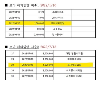 횡령 관련 진정서 증거자료 일부. 동일한 개가 B 단체에서는 1월, C 단체에서는 7월에 해외 입양된 것으로 비용이 각각 지출됐다. 자료=진정인 제공