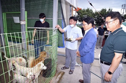 광주광역시가 운영을 맡긴 광주동물보호소에 지난 8월 강기정 광주광역시장(오른쪽 두 번째)이 방문한 모습. 사진=광주광역시