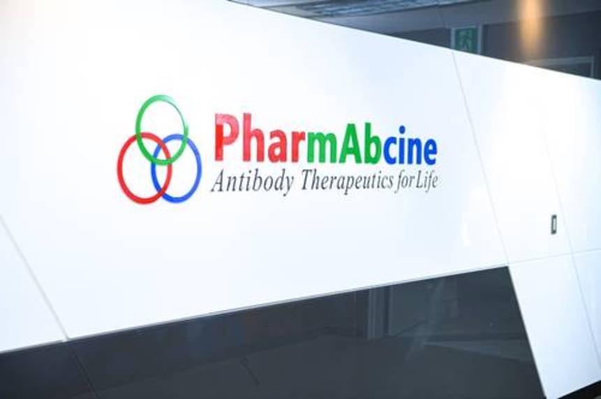 '급한 불 껐지만...' 타이어뱅크에 안긴 '파멥신' 남은 과제 - 뉴스 썸네일 이미지