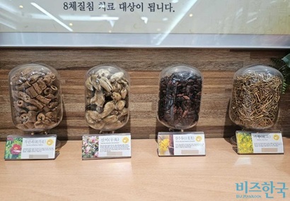 서울의 한 한의원에 전시된 한약재들. 한의원들은 영업상 비밀 등을 이유로 처방전 발급을 거부한다. 사진=김초영 기자