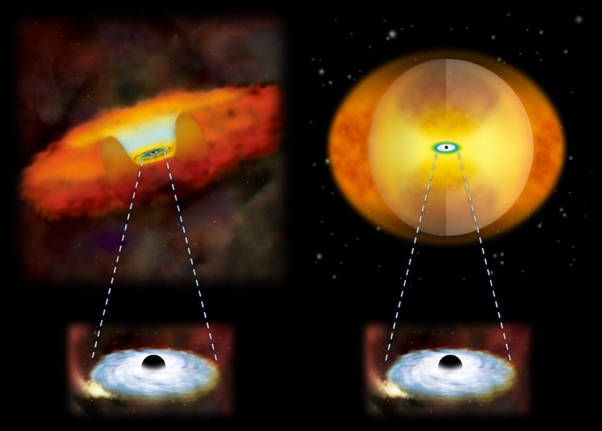 먼지 구름 고치 속에 블랙홀을 품고 있는 천체의 모습을 표현한 그림. 이미지=National Astronomical Observatory of Japan