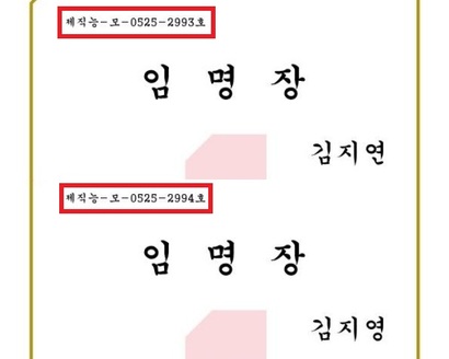 이름을 가나다 순으로 배치해 임명장 발급번호가 부여됐다. 이를 통해 황씨 성을 가진 사람의 발급번호를 토대로 매일 제작된 임명장 규모를 파악할 수 있다.