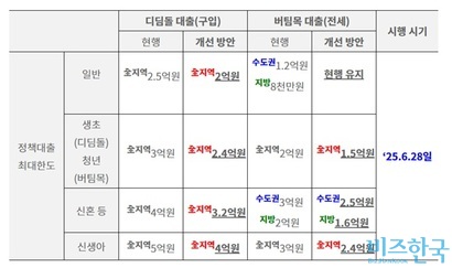 6월 28일부터 시행된 정책대출 최대한도 축소 방안. 자료=금융위원회