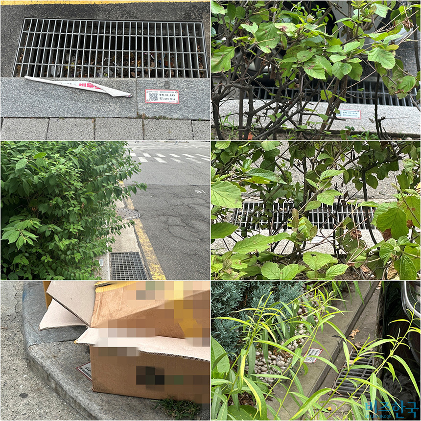 시민들이 확인하기 어려운 상태의 빗물받이 QR 코드 안내판 사진=이동영 인턴기자