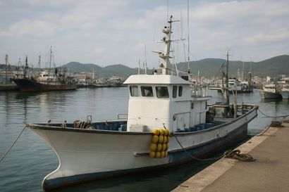 지난 30년간 정부는 어선 감척 사업을 했지만 목표한 수산자원량 확보에 실패하고 있다. 사진=생성형 AI