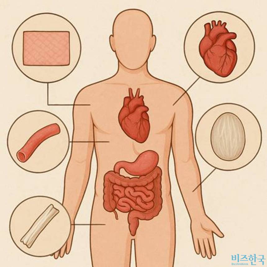 [단독] 인체조직 수입하는 조직은행, 행정처분 5년간 17건 달해