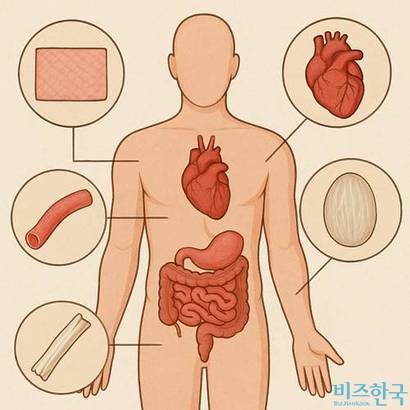 [단독] 인체조직 수입하는 조직은행, 행정처분 5년간 17건 달해