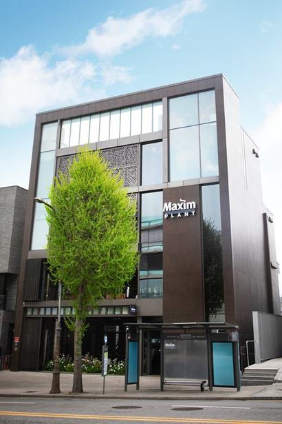 서울 한남동에 위치한 ‘맥심플랜트’가 가을 날씨와 잘 어울리는 따뜻한 분위기와 가을 시즌 한정 메뉴로 눈길을 끌고 있다. 사진=동서식품 제공