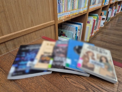 공공도서관에 장서로 들어간 AI 양산형 도서의 모습니다. 이른바 '딸깍 출판으로 만들어진 책 중 최고 150권 이상이 공공도서관에 장서로 등록된 것을 확인했다. 사진=김민호 기자