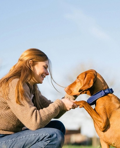 스마트 웨어러블 기기 칼라 고는 반려견의 상태를 24시간 체크하고 그 결과를 대화형으로 보호자에게 전달한다. 사진=사테라이 홈페이지