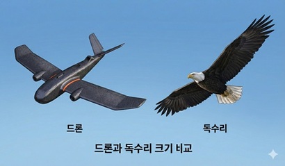 개성 무인기 침투 사건은 단순한 개인 일탈을 넘어, 민간인이 상용 드론 기술만으로도 국가 간 군사적 긴장을 유발할 수 있음을 드러낸 중대한 안보 실패 사례다. 무인기와 독수리 크기 비교. 사진=김민석 제공