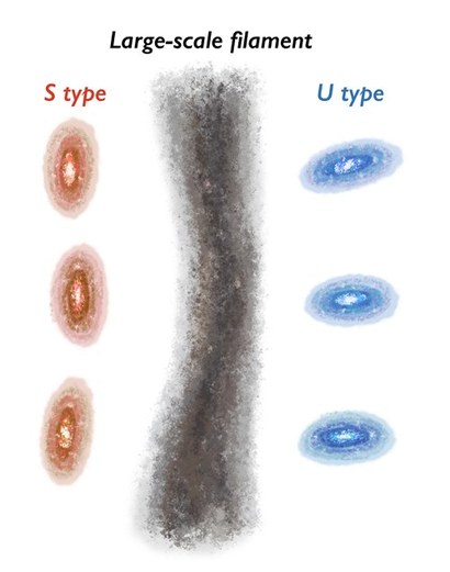 우주거대구조의 필라멘트에 암흑 물질이 정렬한 모양. S자 모양과 U자 모양 두 가지가 있다. 이미지=지웅배 제공