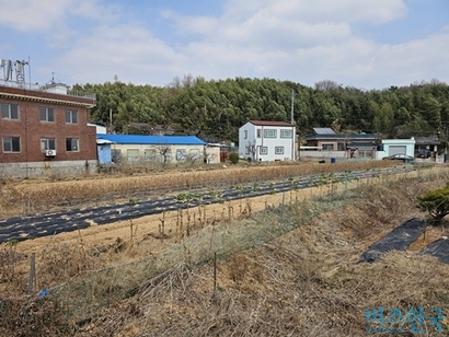 박형준 부산시장이 청광문화재단에 증여한 부산 기장군 일광읍 청광리 상가 건물(위)과 조현화랑이 매입한 청광리 토지 전경. 사진=차형조 기자