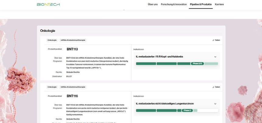 바이온텍의 파이프라인. 창업자가 떠나는 회사는 튼튼한 파이프라인으로 밝은 미래를 맞이할 수 있을 것인가. 사진=바이온텍