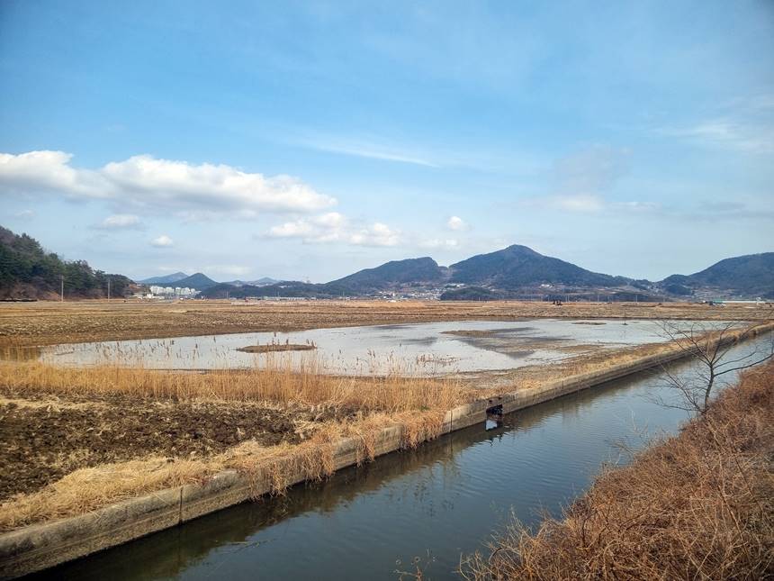 여수 철새 서식지. 금호석유화학그룹은 땡스카본과 협력해 여수 가사리 생태공원 인근 농경지를 대상으로 향후 3년간 총 2억 6000만 원을 투입해 습지(무논) 조성 사업을 추진한다. 사진=금호석유화학 제공