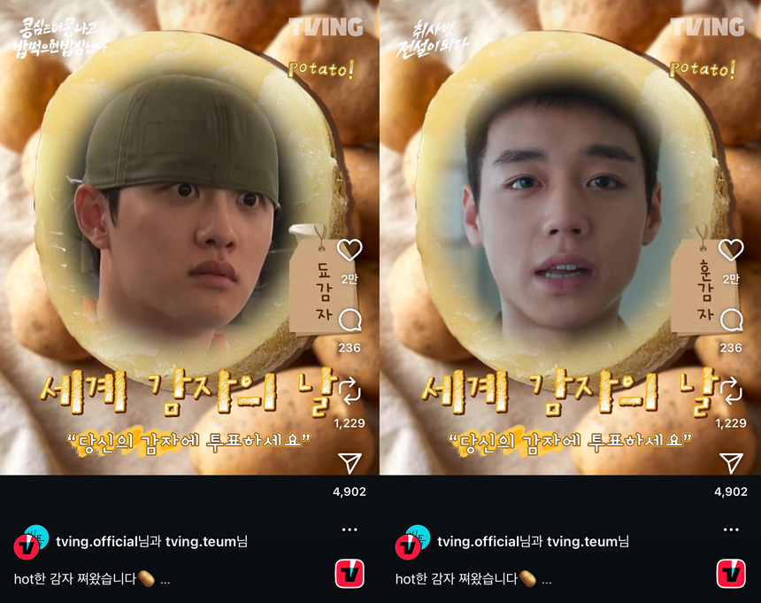 지난달 30일 올라온 ‘세계 감자의 날’ 투표 이벤트 게시물.​ 사진=SNS 빙틈 채널